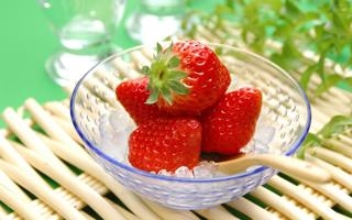 罗森博格 VS 特罗姆瑟